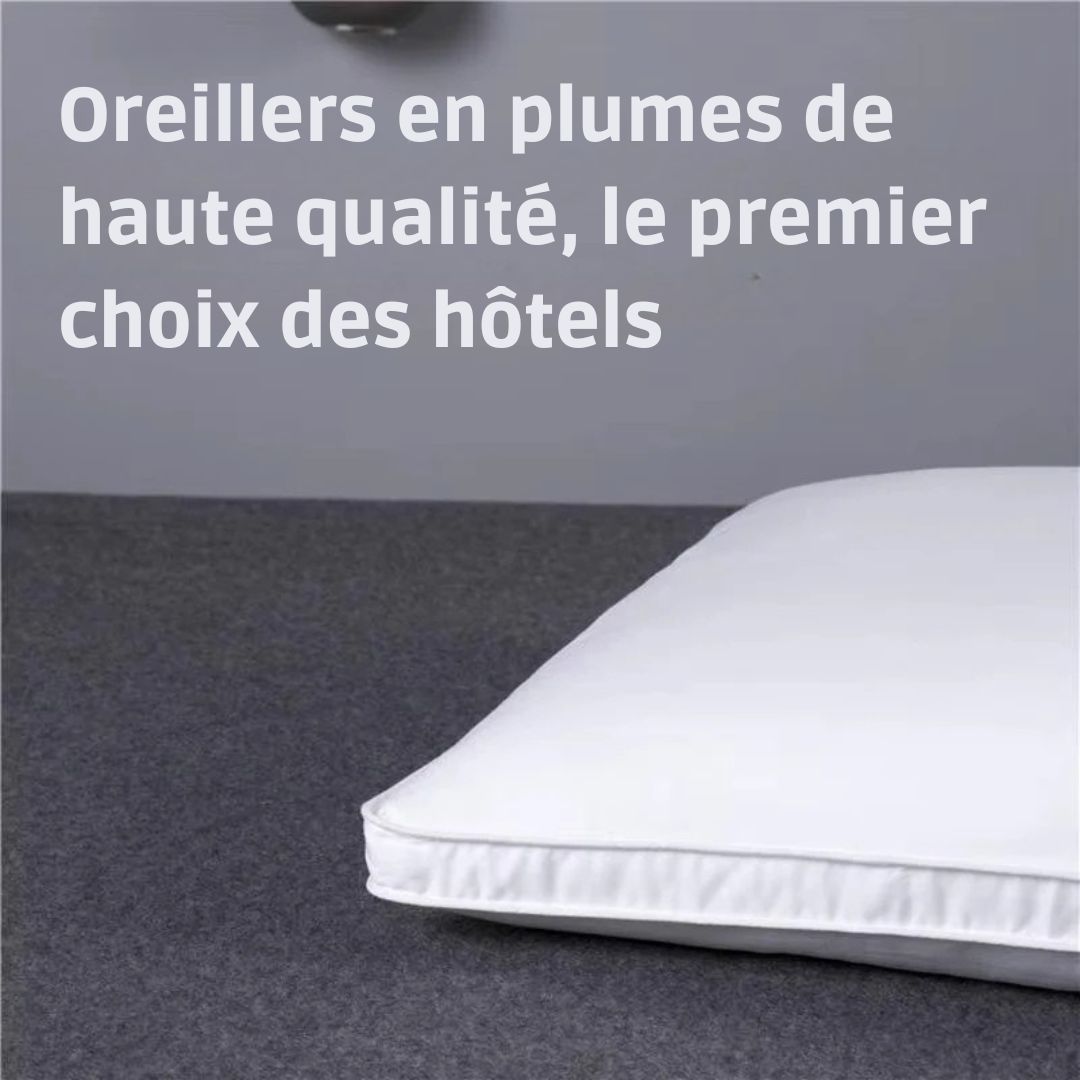 Oreiller Orthopédique en Soie Naturelle – Le Luxe d’un Sommeil Royal