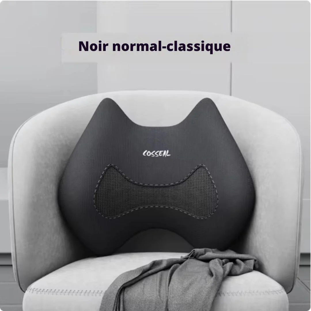 Appui-tête Réglable Ergonomique pour Chaise de Bureau – Soutien Cervical et Lombaire Rétractable