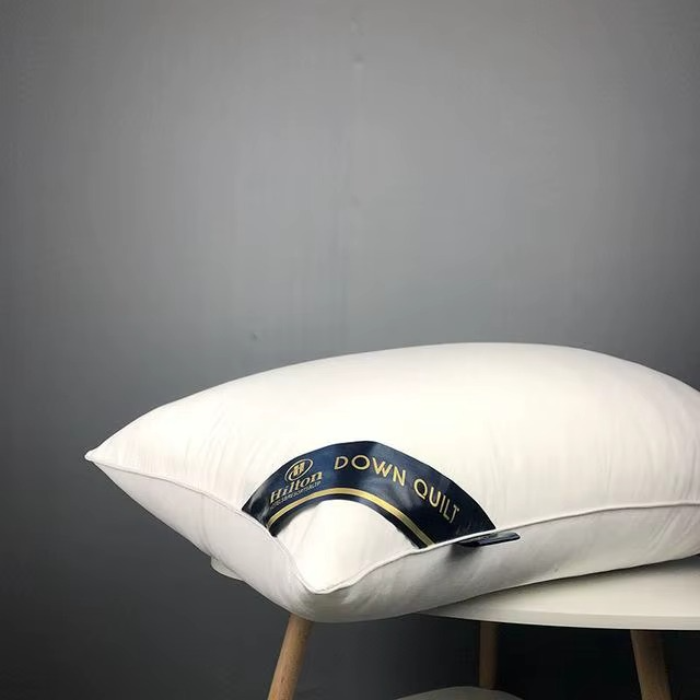Oreiller Orthopédique en Soie Naturelle – Le Luxe d’un Sommeil Royal