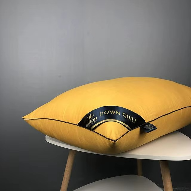 Oreiller Orthopédique en Soie Naturelle – Le Luxe d’un Sommeil Royal