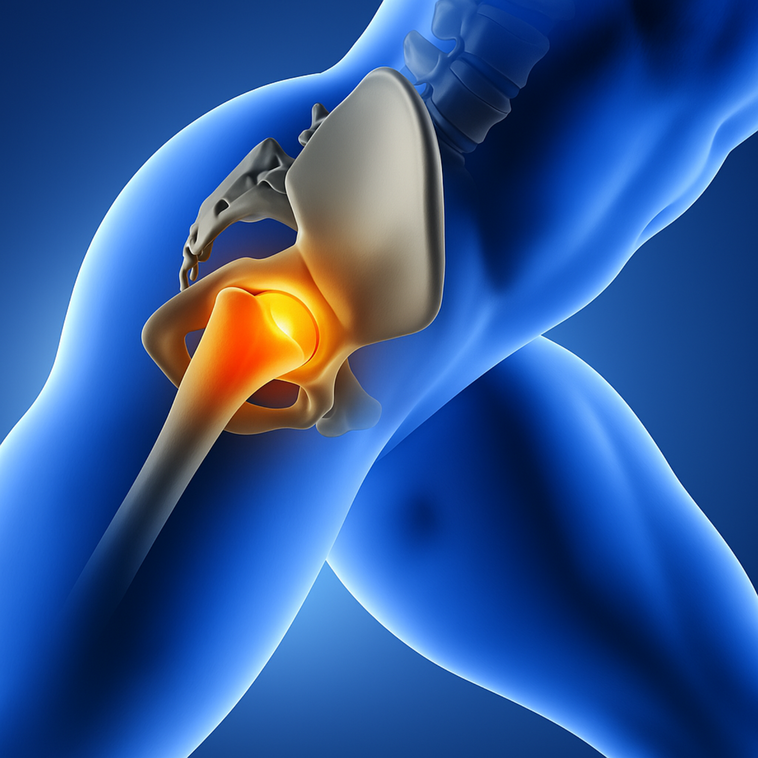 Coccyx